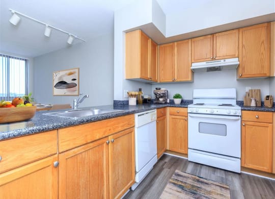 Fully Furnished Kitchen at The Gramax, Silver Spring, 20910