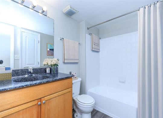 a bathroom with a sink toilet and bathtub at The Gramax, Silver Spring