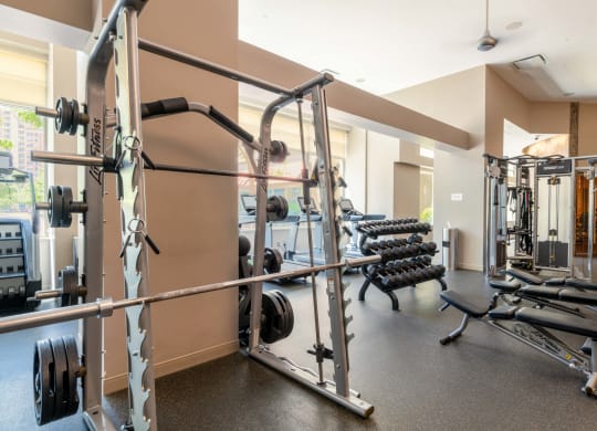 a gym with weights and a row of dumbbells at The Acadia at Metropolitan Park, Virginia, 22202