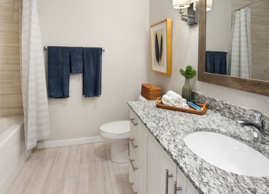 Bathroom With Storage at Town Trelago, Maitland, FL, 32751
