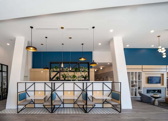 A modern waiting area with a blue accent wall and hanging plants at Jayde Parkside Apartments, Washington, DC, 20019
