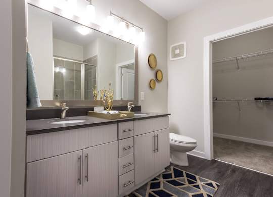 A bathroom with a sink, mirror, toilet, and a shower.at The Aster Cary, Cary North Carolina