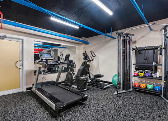 A gym with a treadmill, weights, and exercise equipment.