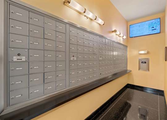A row of mailboxes are lined up on a wall.