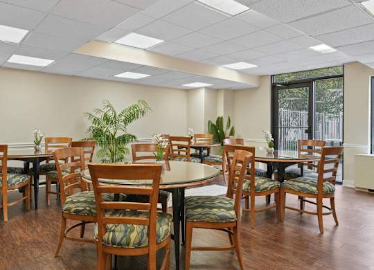 A room with tables and chairs and a plant.