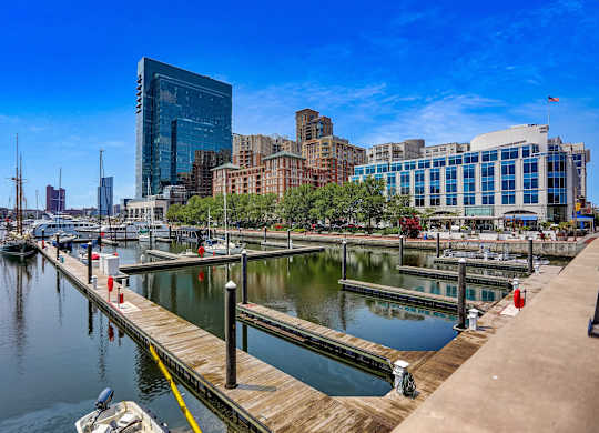 Marina with boats and downtown skyline at 1305 Dock Apartments, Baltimore, MD 21231