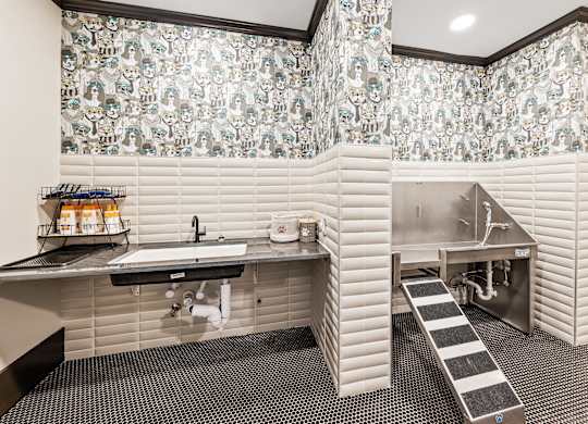 Pet spa and dog washing station at Preston Ridge Cary, NC.