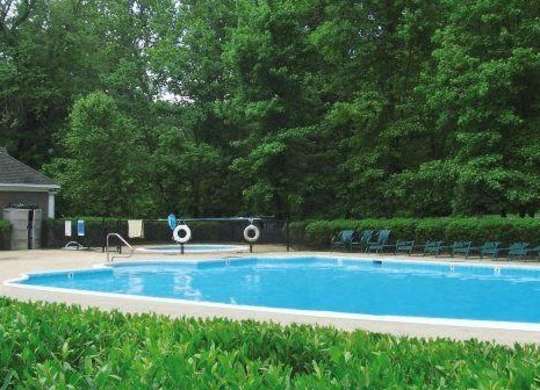 A pool surrounded by greenery and trees at Shenandoah Station Apartments, Triangle, Virginia