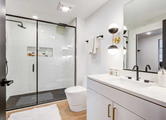 a bathroom with a shower and a sink and a toilet at Rialto, District of Columbia, 20002