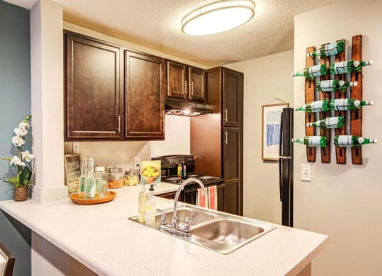 Stainless Steel Sink With Faucet In Kitchen at Waverly Place, North Charleston, SC, 29418