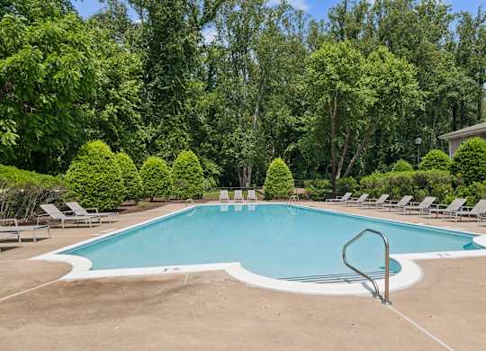 A large swimming pool surrounded by trees and lawn chairs.