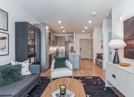 Living Room With Kitchen at South and Hollis, Charlotte, NC