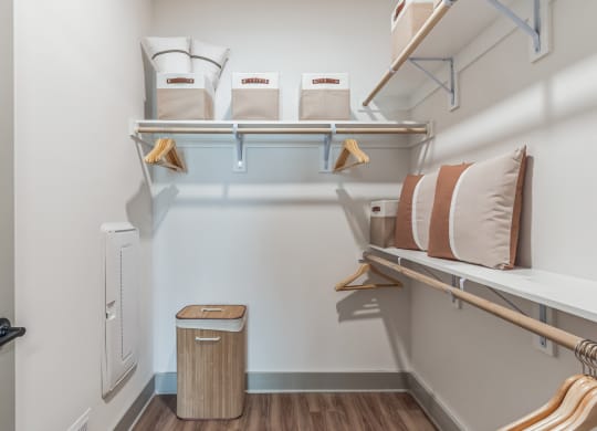 a bedroom with a bunk bed and a closet with shelves and a trash can at South and Hollis, Charlotte, 28209