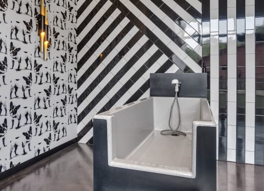 a seating area in a lobby with a black and white wall and a bench at South and Hollis, North Carolina