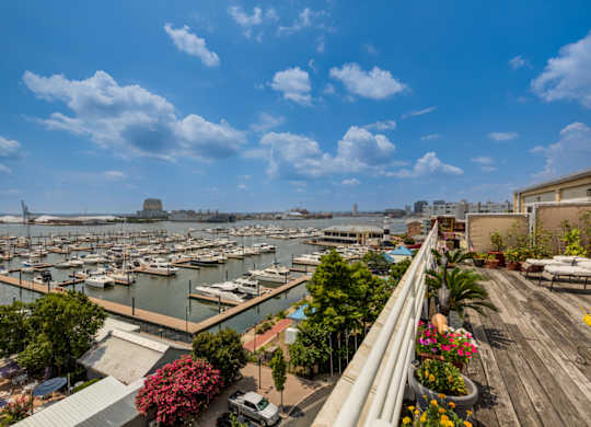 A marina with boats docked and a building in the distance.