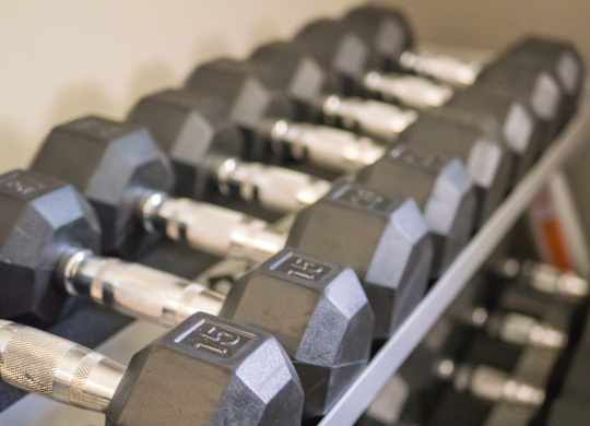 A row of dumbbells with weights ranging from 5 to 25 pounds at West Park Apartments, Albuquerque, New Mexico