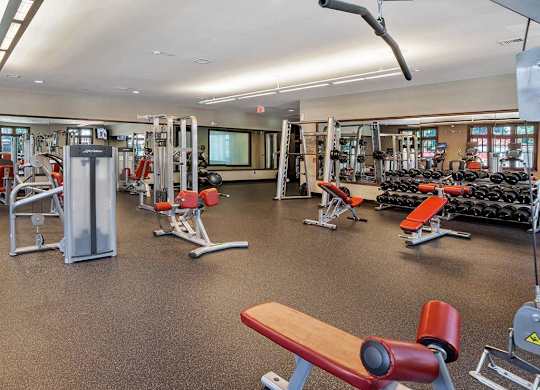 A gym with a variety of equipment including a bench, weights, and a squat rack at Vermella Lyndhurst apartments, Lyndhurst, NJ, 07071