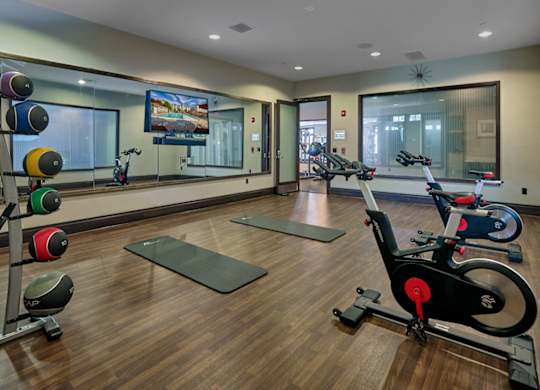 A gym with a row of exercise bikes and a television mounted on the wall at Vermella Lyndhurst apartments, Lyndhurst 07071