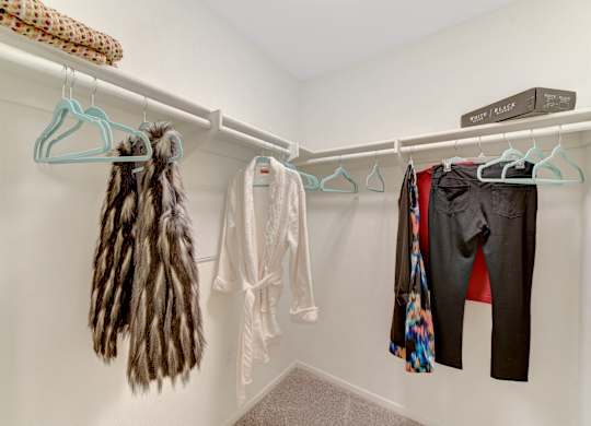 closet at Parc One, Santee, 92071