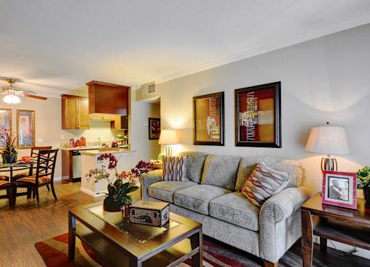 Living room at Adagio, La Mesa, CA