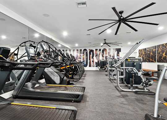 A gym with treadmills, exercise bikes, and other equipment.