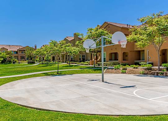 A basketball court is surrounded by houses and trees.