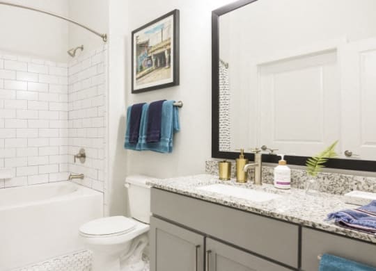 a bathroom with a sink and a toilet and a bath tub