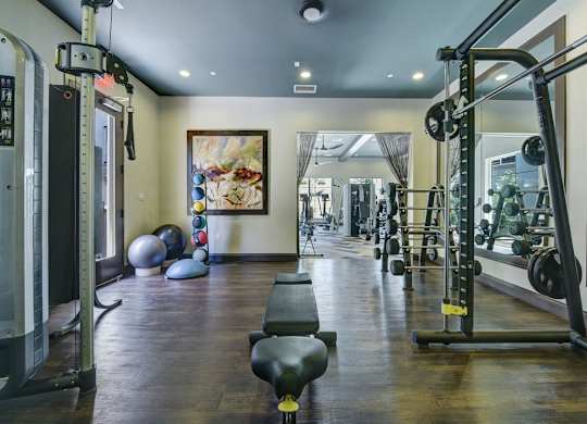 fitness center at Seta Apartments
