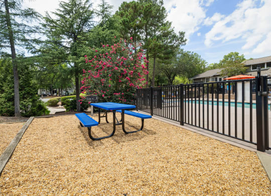 a blue picnic table and a black fence with the pool in the background