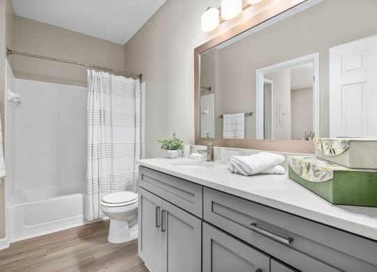 a bathroom with a large mirror and a toilet at Mariners Crossing, Raleigh, 27613