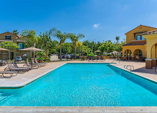 A large swimming pool in a sunny backyard.
