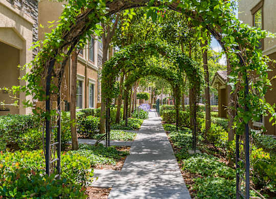 A pathway is flanked by plants and trees in a residential area.