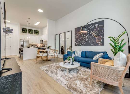 Midtown 205 Model Living Room