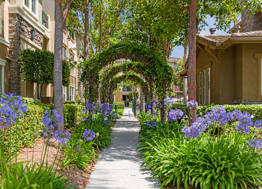 A pathway with a green archway and purple flowers on the sides.
