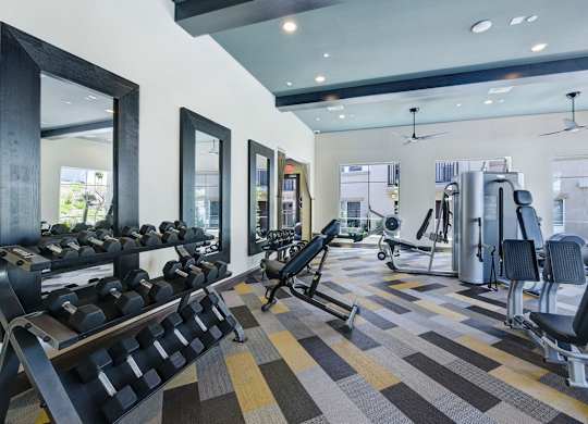 fitness center at Seta Apartments