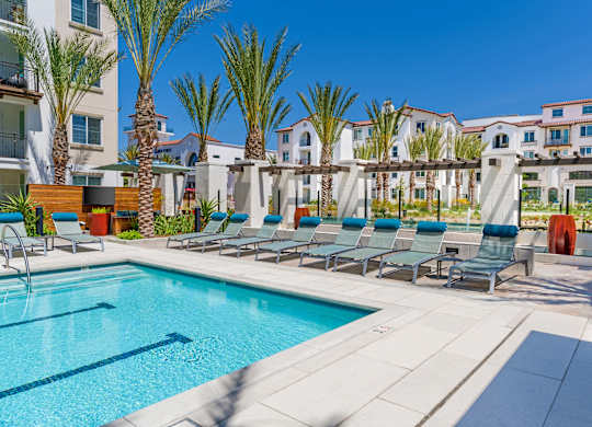 A swimming pool surrounded by palm trees and lounge chairs at Sola at Pacific Highlands Ranch Apartments, California