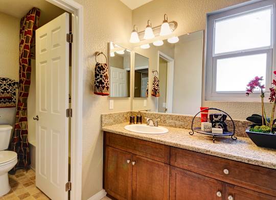 A bathroom with a white toilet and a wooden vanity.