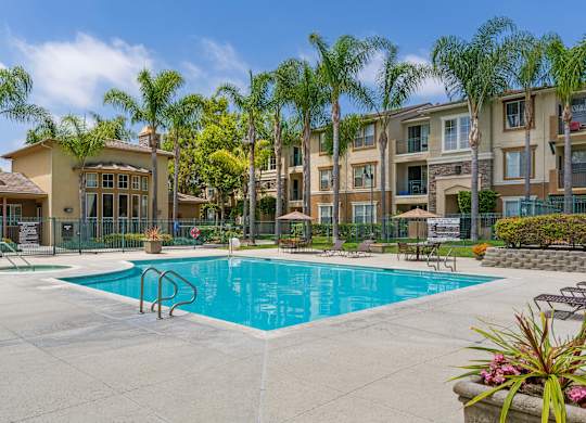 A swimming pool surrounded by palm trees and apartment buildings.