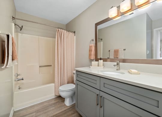 a bathroom with a large mirror and a sink and a toilet at View at Lake Lynn, North Carolina, 27613