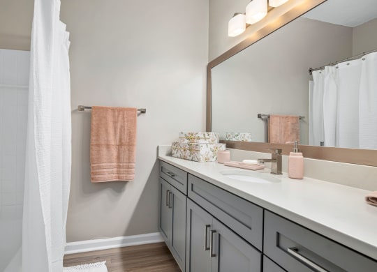 a bathroom with a sink and a mirror and a shower at Mariners Crossing, Raleigh North Carolina