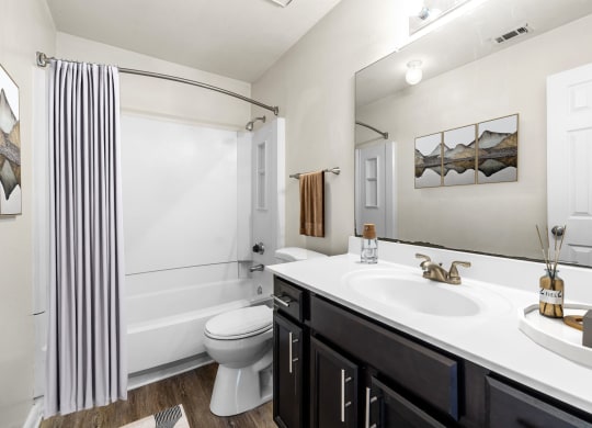 a bathroom with a sink and a toilet and a shower