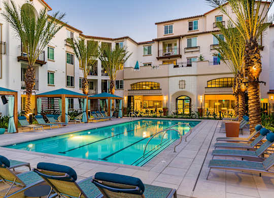 A pool surrounded by lounge chairs and palm trees at Sola at Pacific Highlands Ranch Apartments, San Diego, California