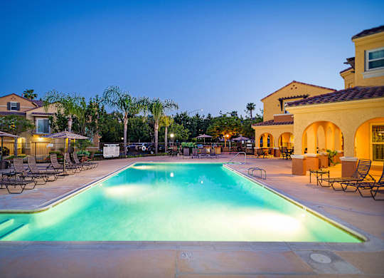 A large swimming pool surrounded by lounge chairs and palm trees.