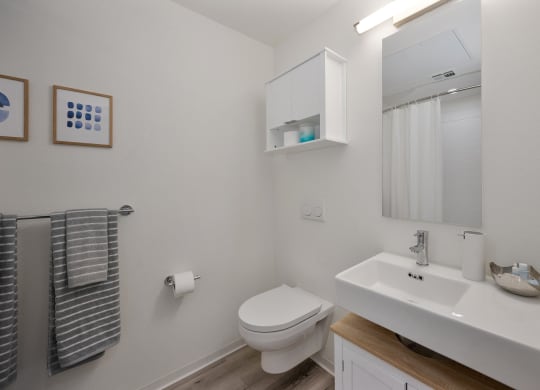 a bathroom with a sink and a toilet and a mirror
