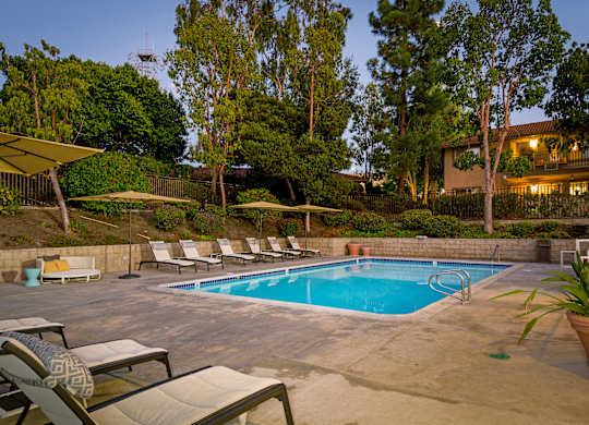A pool surrounded by trees and chairs.