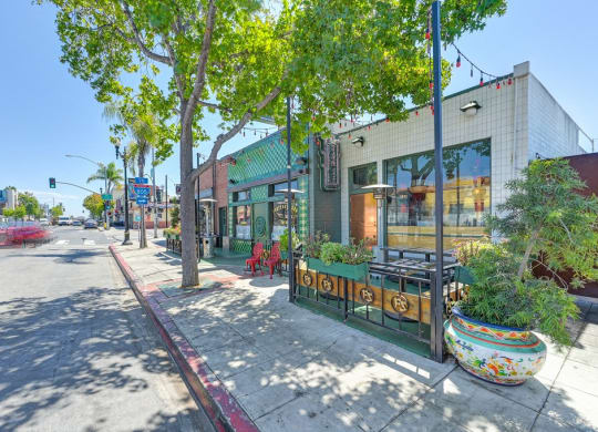 a city street with a building and trees on the sidewalk