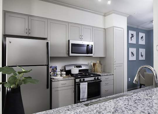 kitchen at Seta Apartments
