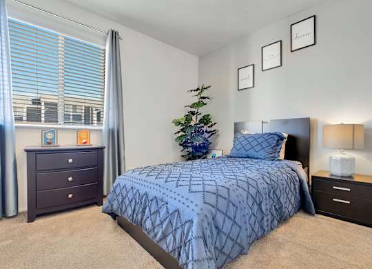 A bedroom with a blue bedspread and a plant on the bed.