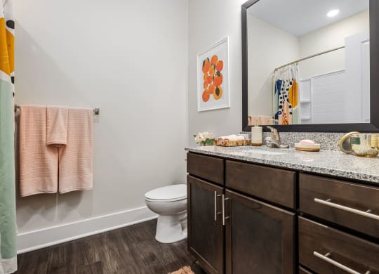 Furnished model secondary suite bathroom with consistent granite countertops and large mirror