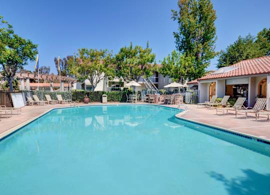 A large swimming pool surrounded by trees and lounge chairs.